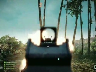 Battlefield Bad Company 2 - version PC