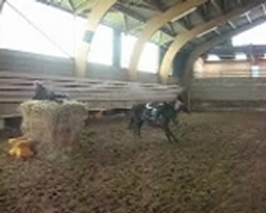 Ma gamelle