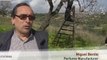 Video of the day | Majorca almonds in bloom | Deutsche Welle