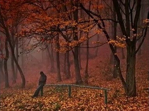 HASTANE ÖNÜNDE İNCİR AĞACI / yoldaş asya