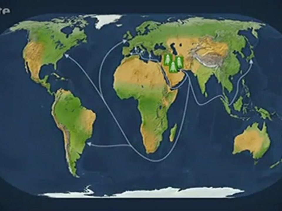 Mit offenen Karten - Geschichte der Kohle