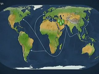 Mit offenen Karten: Die faszinierende Geschichte der Kohle 🪨