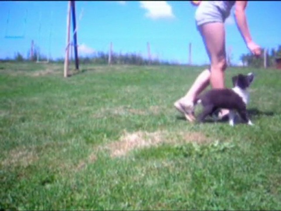 Apprentissage du slalom