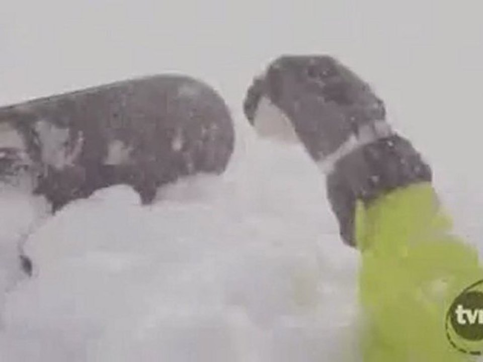 Il survit à une avalanche