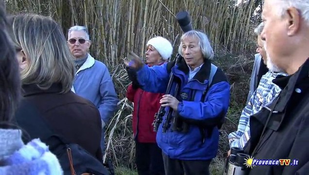 La petite Camargue de St Chamas