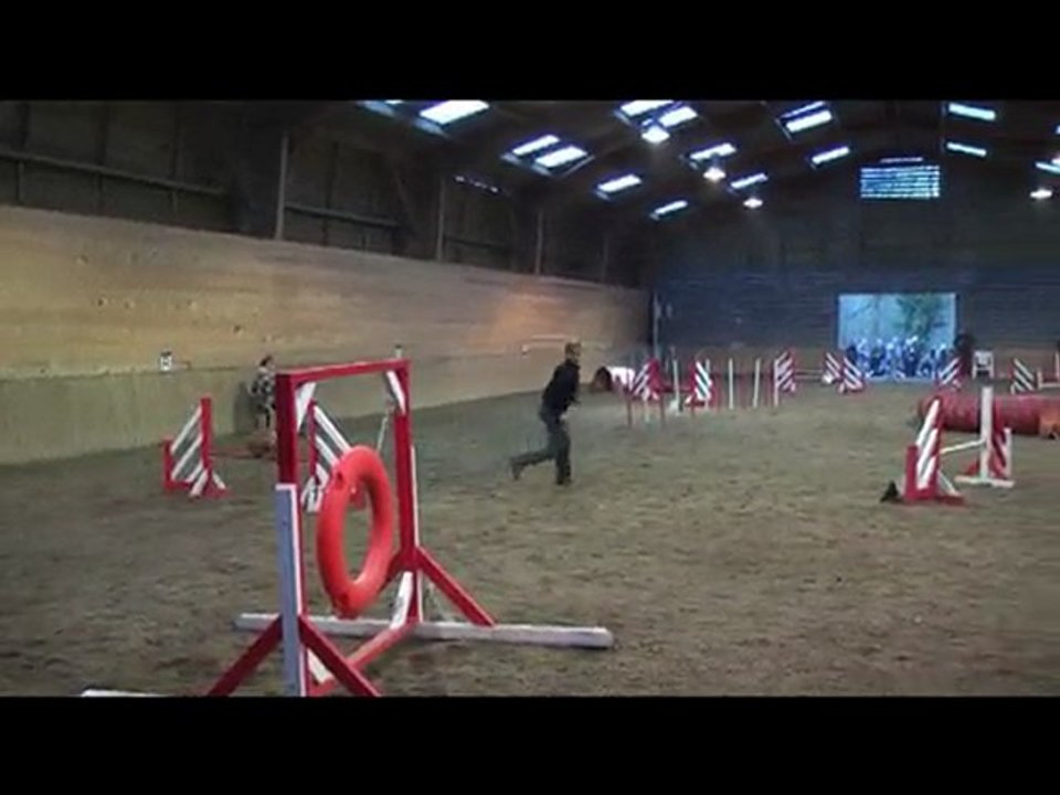 jumping toupy tichemon