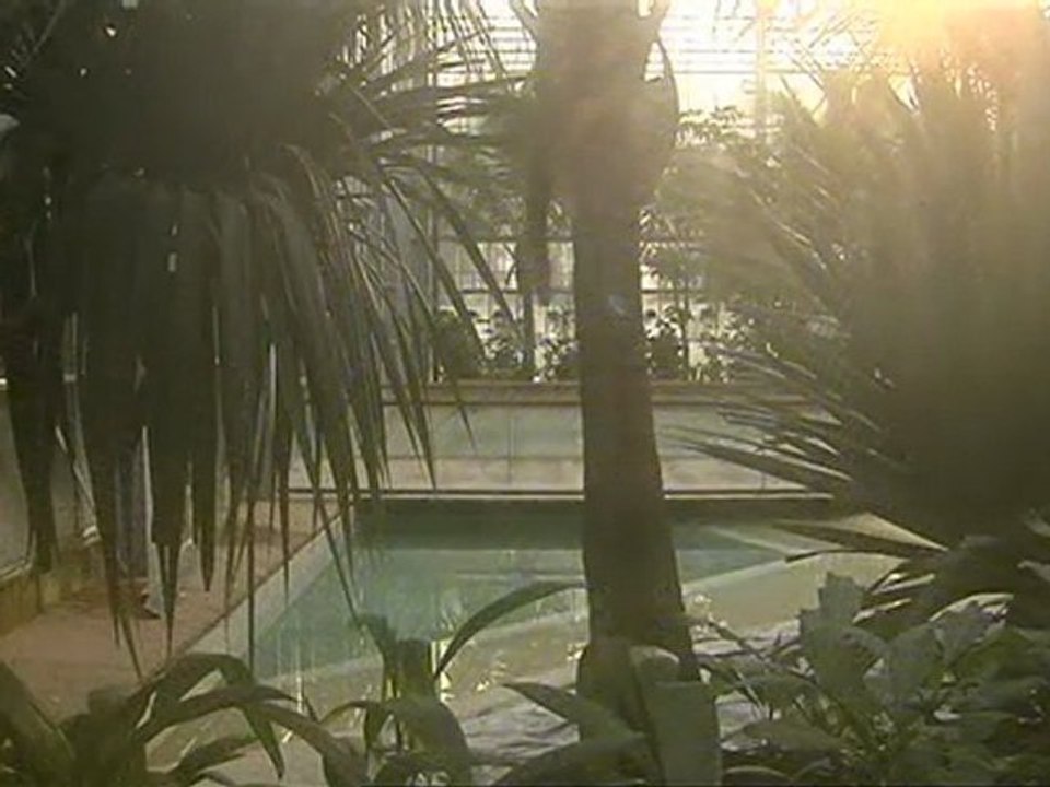 Le parc d'attraction Terra Botanica 3 mois avant l'ouverture