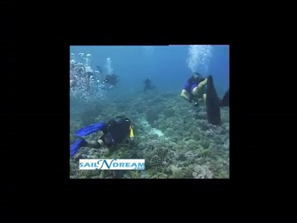 Croisière en bateau, catamaran, monocoque, bateau à moteur,
