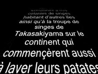 La théorie dite  du 100ème singe montage