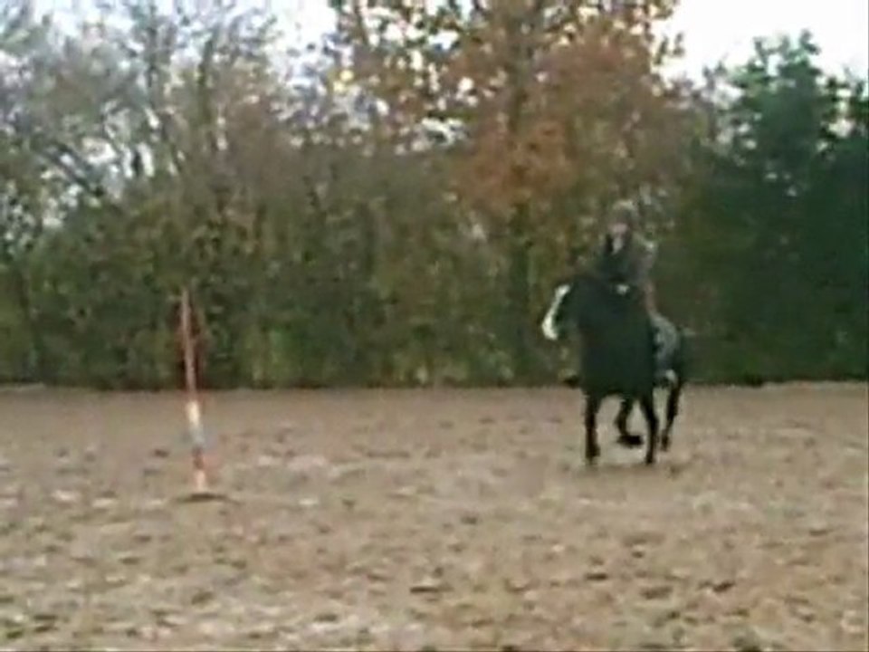 Pony Games : Petit Président- Allez Les Verts