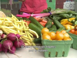Viabilité rime aussi avec produits de qualité - ...