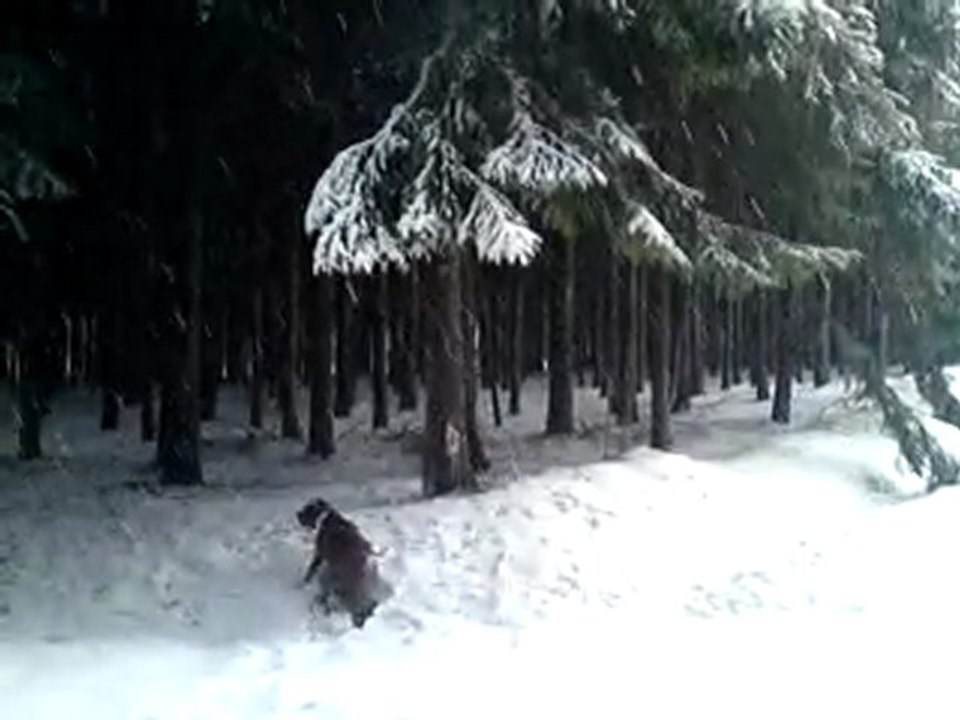 Balade sous la neige - février 2010