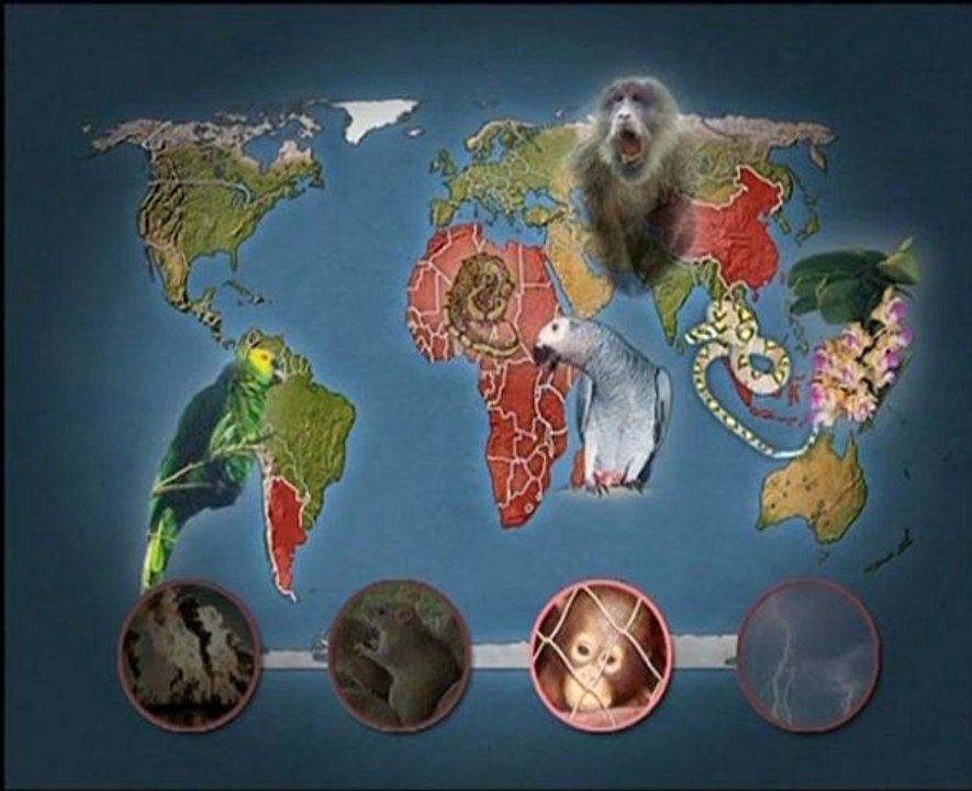 Mit offenen Karten: Bedrohte Tier und Pflanzenarten:Ursachen