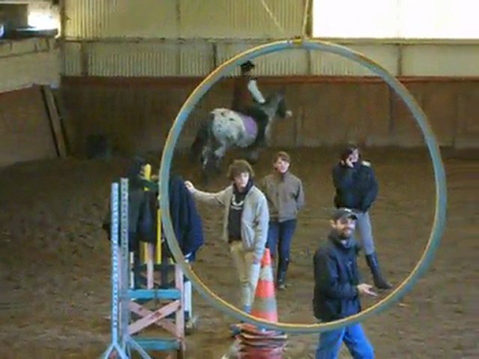 saut d'obstacle ... 24 / o2 / 2o1o