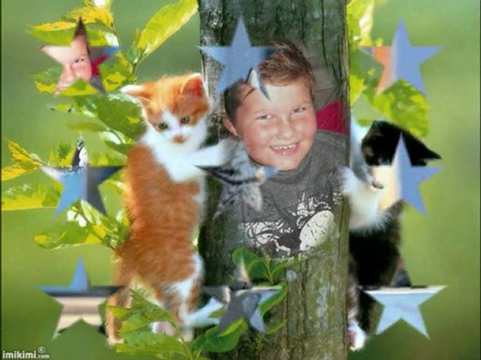 CHATS et autres avec WILLIAM