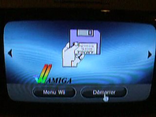 Amiga - UAE Forwarder