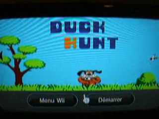 Duck Hunt Forwarder