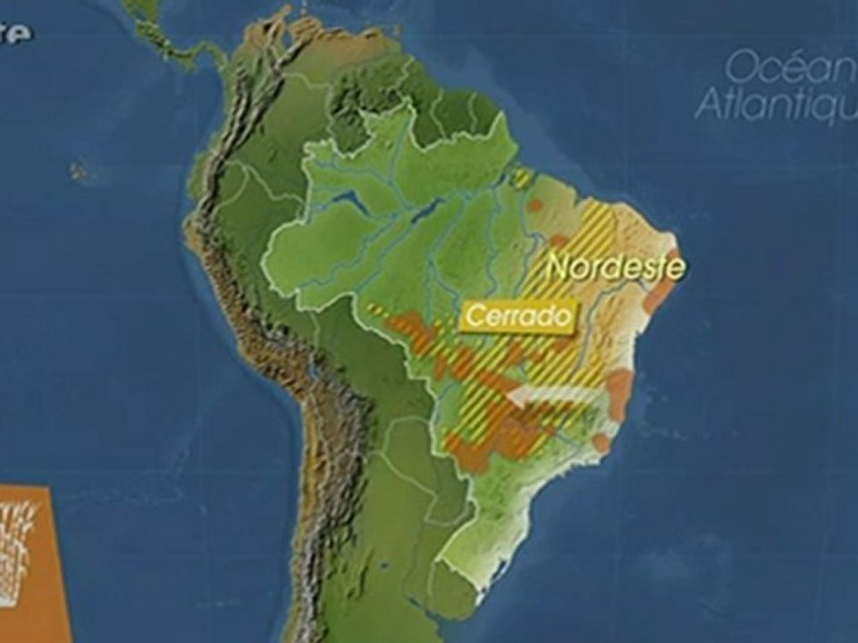 Mit offenen Karten - Biokraftstoff - Der Fall Brasilien