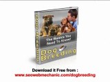 dog breeding guide on how to breed dogs