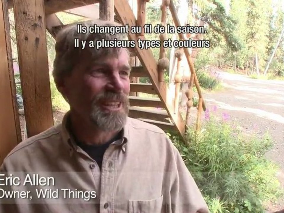 La gastronomie locale - Yukon, Canada