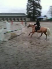 Mon cheval et moi