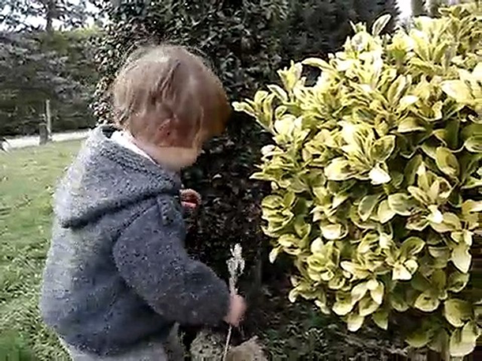 mov24-02-10_coucou chat