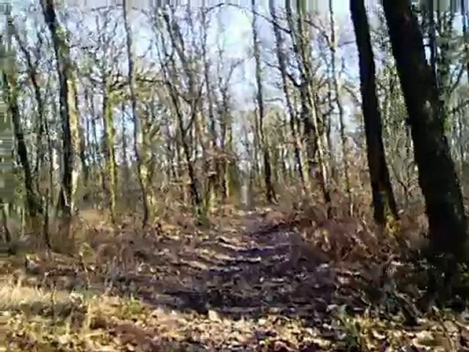 vtt mervent 31