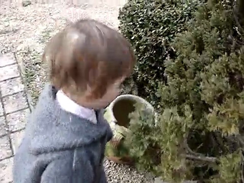 mov24-02-10_caillou-carotte