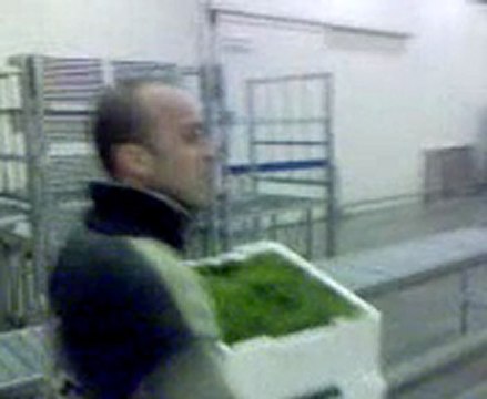 gio se casse la gueule mdr !!!