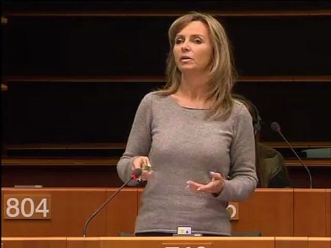 Frédérique Ries on Goldstone recommendations