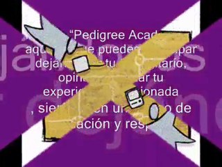 Espacios y Contenidos de la Comunidad