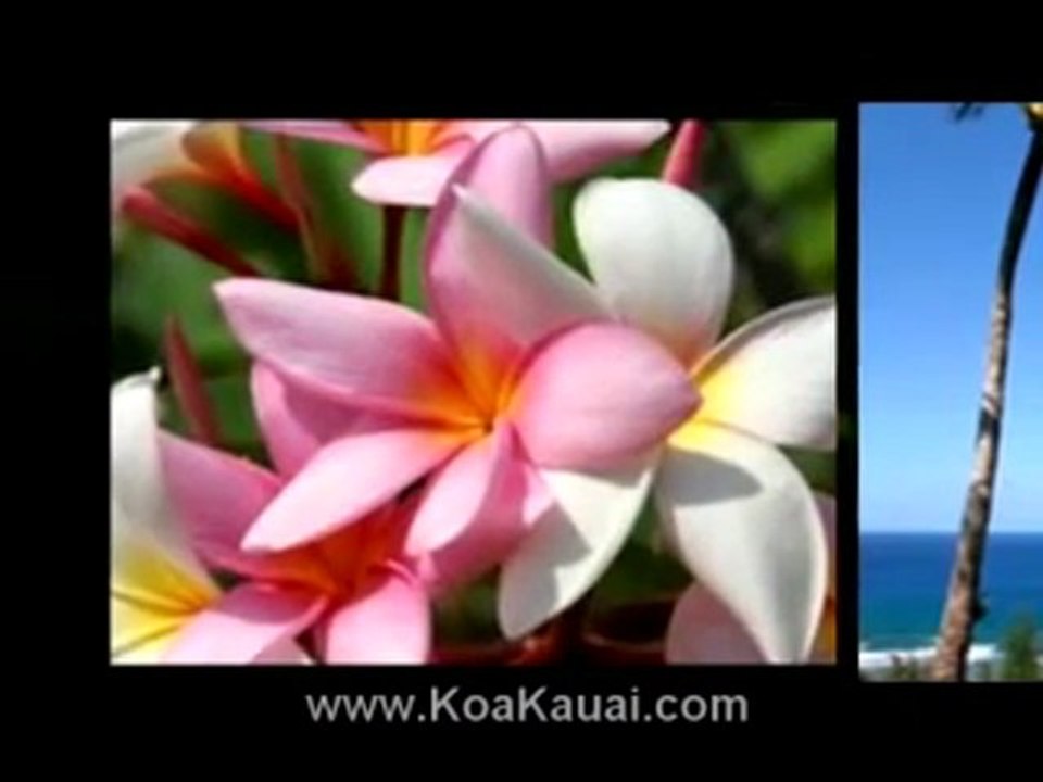 Homes for Sale on Kauai Island