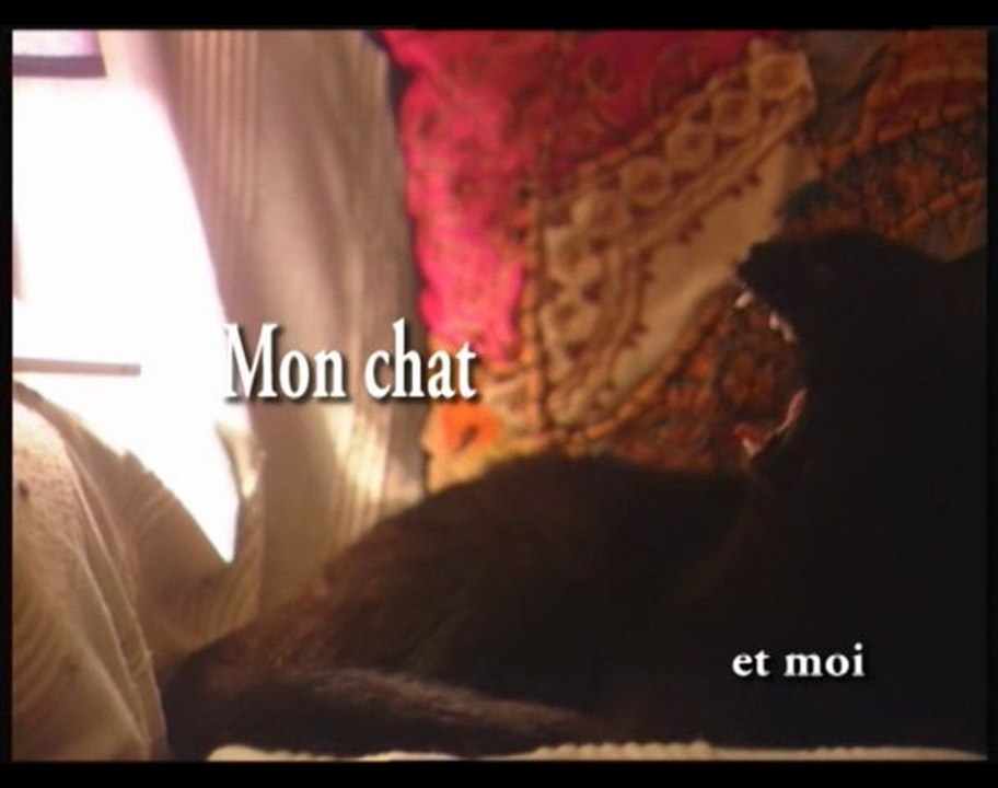MON CHAT et moi "Chat qui chante"