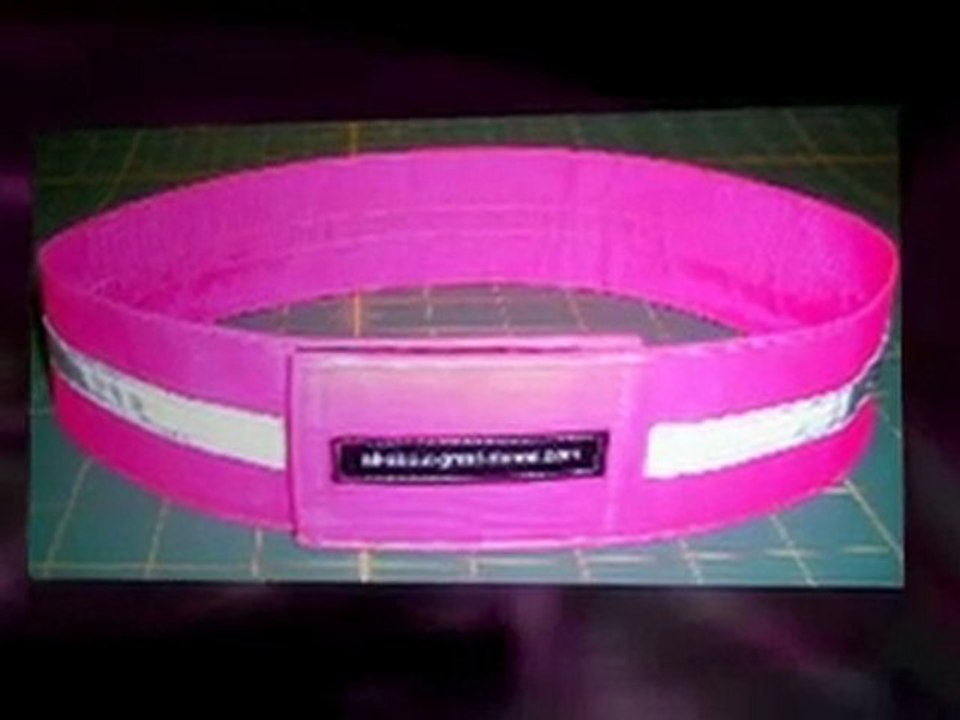 Glow In The Dark Dog Collar