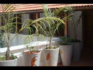 Travel To Care Maison Perumal Pondicherry India Ecotourism