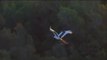 Jabiru flight