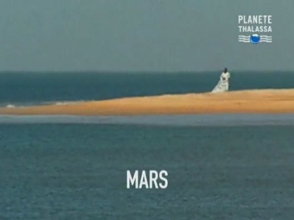 En mars, des Peuples du désert aux Palais d'Europe...