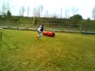 Vid+®o 0008