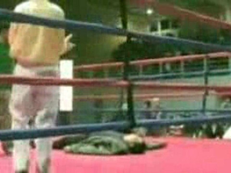 Spettatore Steso a Pugni Sul Ring