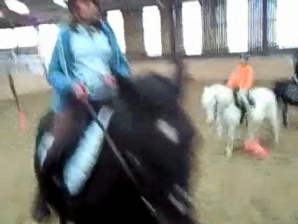 Cheval ;)