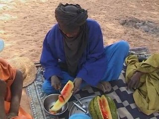 L'IMPACT DU CLIMAT. GULLIVER MEDIA - GULLIVER VIDEO