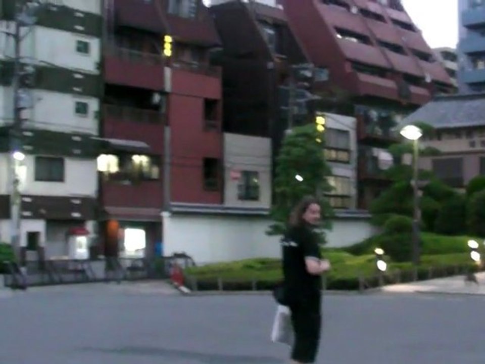 Van au Japon 09 - Tranche 1 : Tokyo again.