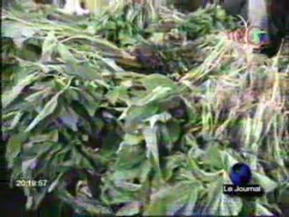 Les femmes juristes réclament de la résolution 1325 de l'ONU