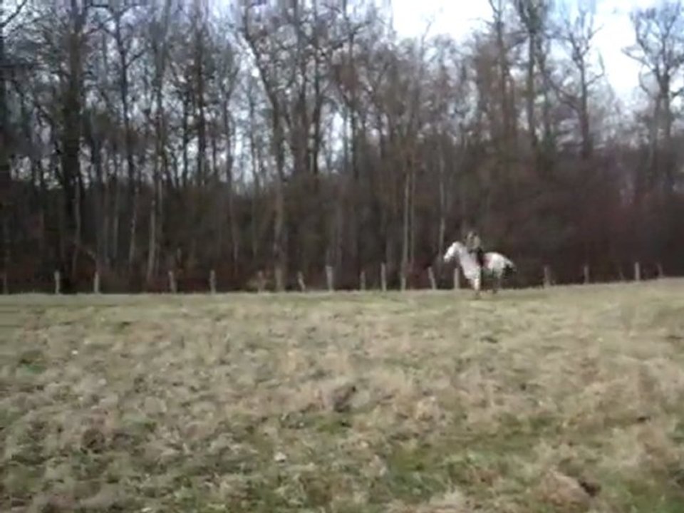 Moi avec Ocalina au grand galop dans sont prés