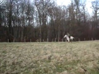 Moi avec Ocalina au grand galop dans sont prés