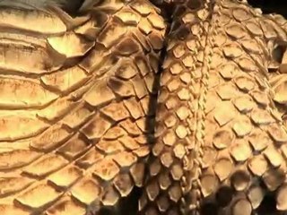 Hélène G 34-Maroquinerie pour femmes et hommes à Montpellier