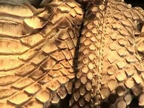 Hélène G 34-Maroquinerie pour femmes et hommes à Montpellier