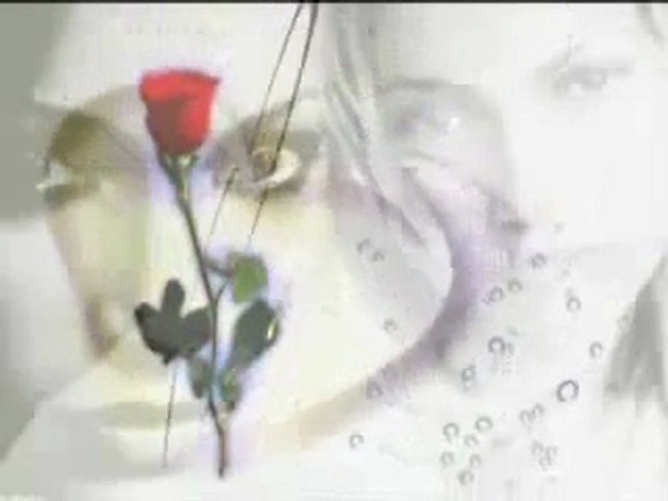 (*♥*)rai sentimentale  (*♥*)