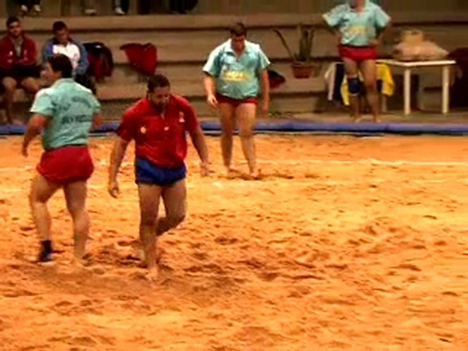 Lucha Canaria San Isidro - Tacuense