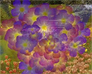 mon carnaval de fleurs